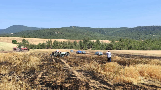 Yangında, 2 dönümlük buğday tarlası zarar gördü.
