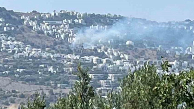 Bodrum'daki yangın büyümeden söndürüldü