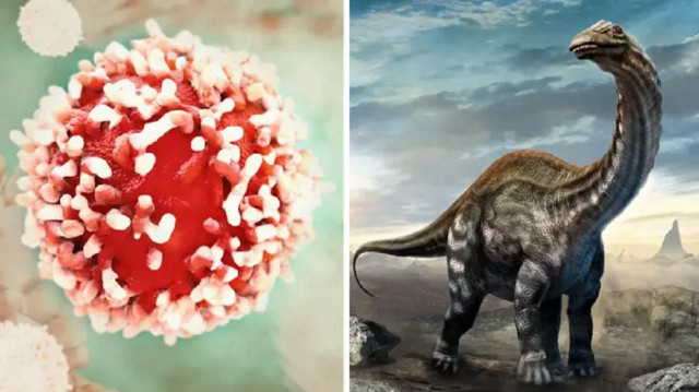 Çalışma, Biology dergisinde yayımlandı.