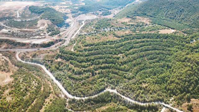 Arşiv.