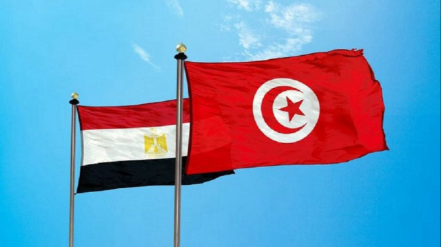 تونس ومصر تؤكدان ضرورة التنسيق للحد من تداعيات التطورات بالمنطقة