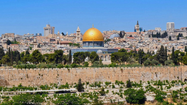 دول عربية وغربية تؤكد تعليق مؤتمر حل الدولتين