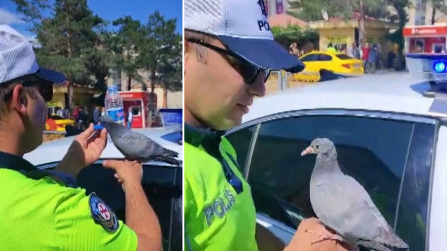 Güvercine kayıtsız kalamayan trafik polisi pet şişedeki suyunu çıkararak kuşa su içirdi.
