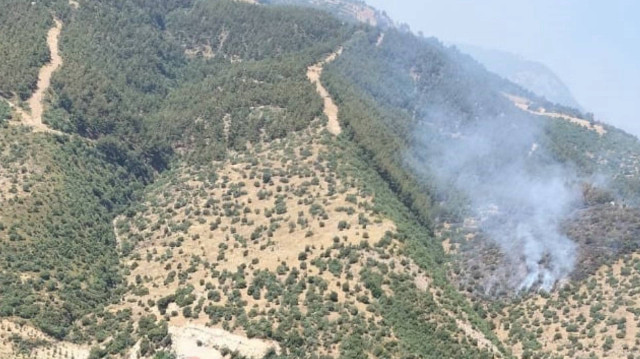  Badınca Mahallesi kırsalında başlayan yangın ekipler müdahale ediyor.
