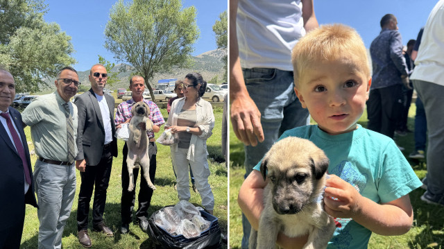 Köpekler, Küçükhacılar köyü Kozağacı Yaylası'nda düzenlenen etkinlikte 20 sürü sahibine dağıtıldı.