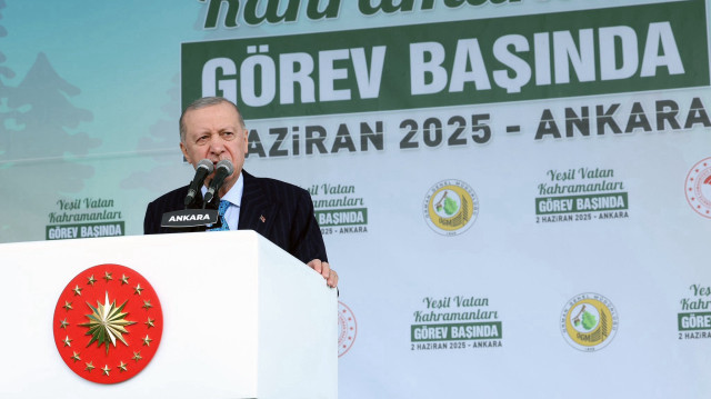 Le président turc Recep Tayyip Erdogan, le 2 juin 2025, à Ankara.