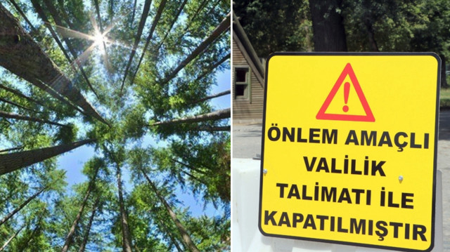 Erzincan'da ormanlara giriş 15 Temmuz-15 Eylül tarihleri arasında yasaklandı.