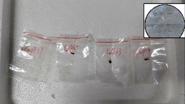 Zanlılardan Yunqing Jian’ın Çin Komünist Partisi üyesi olduğu ve daha önce de benzer girişimlerde bulunduğu bildirildi.