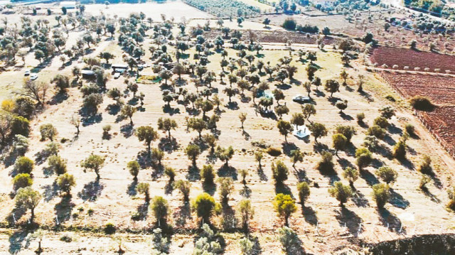 Arşiv.