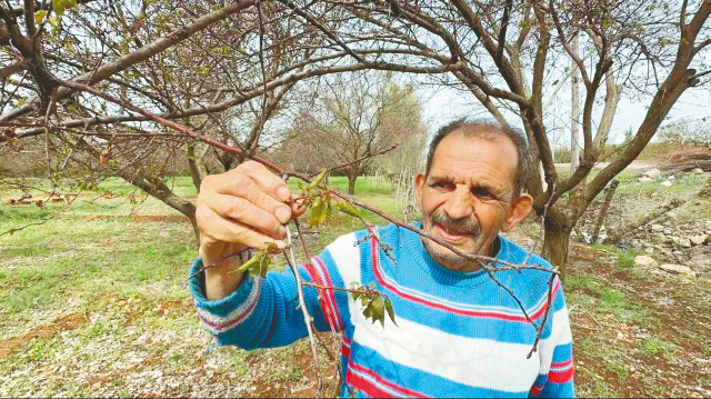 Arşiv.