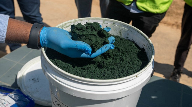 L'hydroxyde de cobalt produit à la mine Tenke Fungurume, l'une des plus grandes mines de cuivre et de cobalt au monde, dans le sud-est de la République démocratique du Congo.