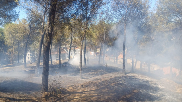 Evlere sıçramadan söndürülen yangında 5 dekar alan zarar gördü.