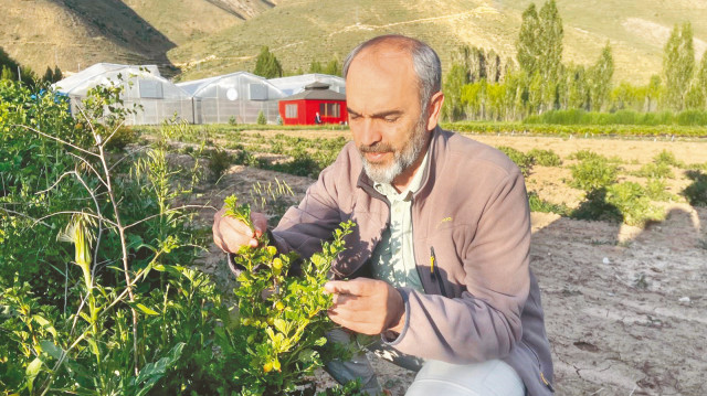 Türkmen, çalışmaların, bugün bölge koşullarına tam uyum sağladığını vurguladı.