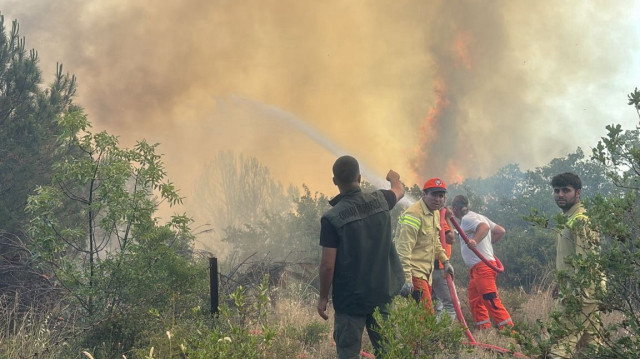 Bursa'da çıkan orman yangınına müdahale ediliyor