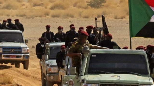 الجيش السوداني يواصل التقدم ويسيطر على منطقة بالنيل الأزرق