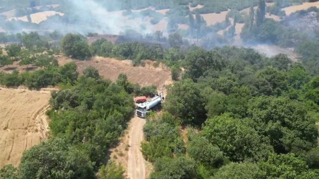 Bursa'nın İnegöl ilçesinde çıkan orman yangını kontrol altına alındı.