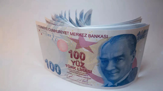 Doğum yardımı ödemesi sorgulama ekranı
