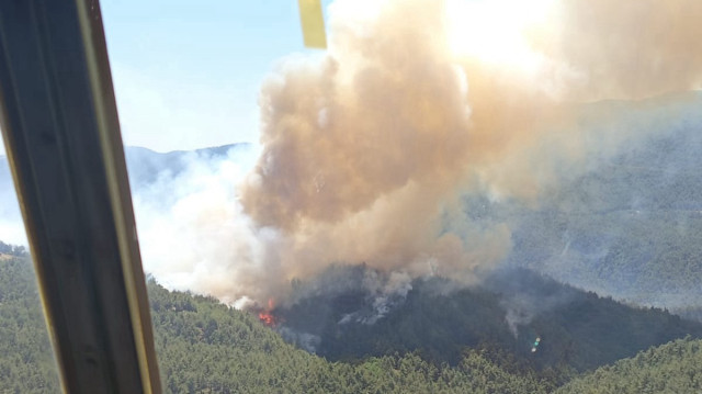 Sakarya'da ormanlık alanda yangın çıktı