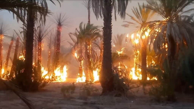 اندلاع حريق بواحة نخيل جنوب شرق المغرب