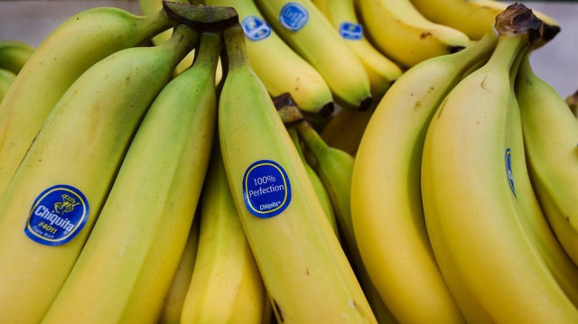 Le géant américain de la banane ferme définitivement ses activités à Changuinola après un conflit social lié à une réforme des retraites.