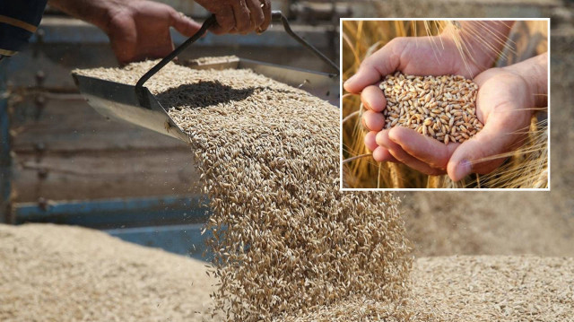 Toprak Mahsulleri Ofisi