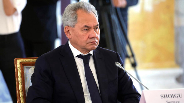 Секретарь Совбеза РФ Сергей Шойгу | Фото: Global Look Press