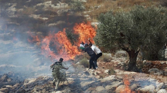 مستوطنون يهاجمون قرية فلسطينية برام الله ويضرمون النار بممتلكات