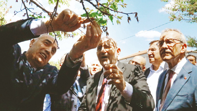 Saha çalışmaları doğrultusunda acil alınması gereken tespit ve öneriler belirlendi.