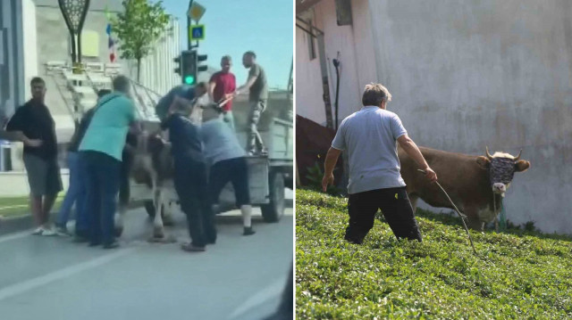 Kurban Bayramı'nın olmazsa olmaz görüntüleri.