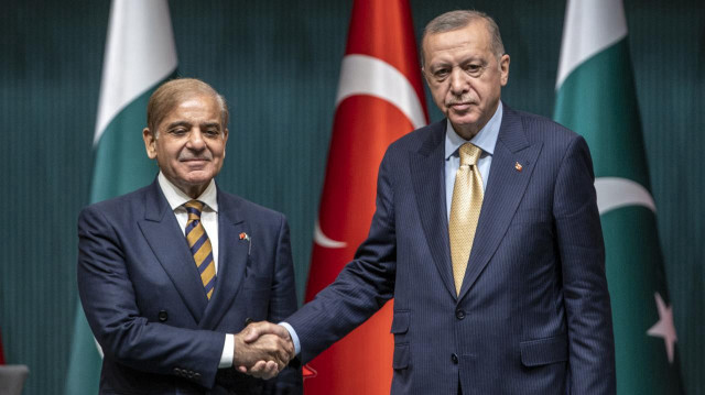 أردوغان وشريف يبحثان العلاقات وقضايا إقليمية ودولية مشتركة