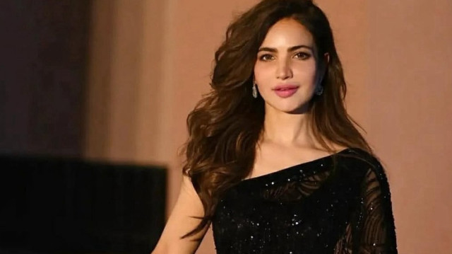 پولیس ان کے گھر اس وقت پہنچی جب وہ مالک مکان کی شکایت پر فلیٹ خالی کرانے پہنچے
