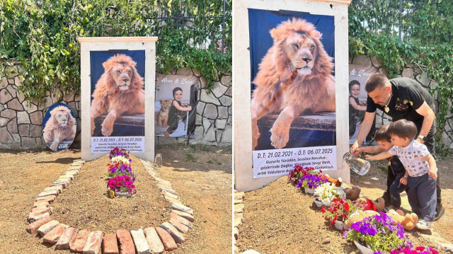 Kaybettiği aslanının hatırasını yaşatmak isteyen Yaşar Kaplan, "Zeus" için evinin önüne temsili mezar yaptırdı.