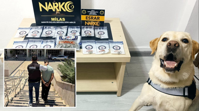 Muğla'da uyuşturucuya geçit yok: 17 operasyonda 5 tutuklama