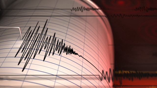 Panama'nın Burica bölgesine 206 kilometre mesafede deprem oldu.