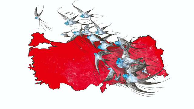İllustrasyon: Cemile Ağaç Yıldırım.