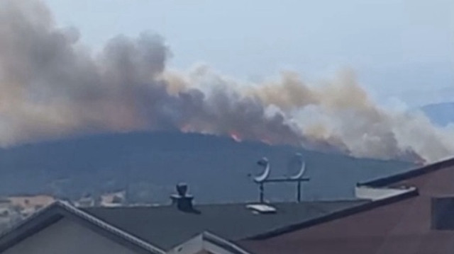 Bursa'da orman yangını