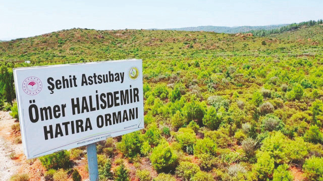 Şehit Astsubay Ömer Halisdemir Hatıra Ormanı