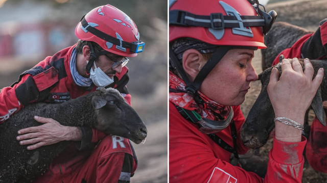 SAR Arama Kurtarma Acil Yardım Derneği gönüllüleri, Kerem Kaptan ve Funda Baydilli, güvenli bölgeye alınan koyunun acısını sarılarak dindirmeye çalıştı.