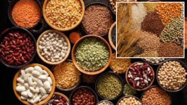 Güneydoğu'nun hububat ihracatı yılın ilk yarısında yüzde 8,7 arttı.