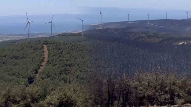 Tekirdağ Şarköy'de çıkan yangın sonrası alanın öncesi ve sonrası görüntüleri ortaya çıktı