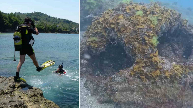 Ordu'da denizin yaklaşık 150 metre açığında 1,5 metre çapında mayın benzeri bir cisim bulundu.