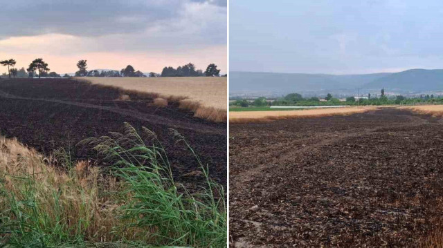 Yıldırım düşmesi sonucu başlayan yangın ekili araziye sıçrayınca 8 ton buğday kül oldu.