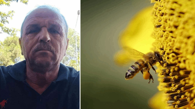 Arı sokması sonucu fenalaşan adam, kaldırıldığı hastanede hayatını kaybetti.