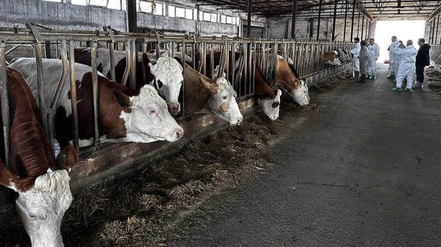 "Şap hastalığının yayılmasını önlemek amacıyla, hayvan pazarları, canlı hayvan borsaları, hayvan toplama ve satış merkezleri ile park ve panayırlar dahil tüm hayvan satış yerlerinin faaliyetleri geçici süreyle durdurulmuştur"