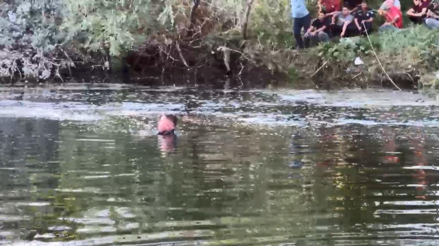 Sakarya Nehri'ne giren 2 kişi boğuldu