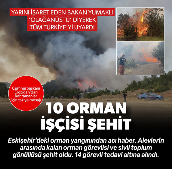 Eskişehir'de orman yangını faciası