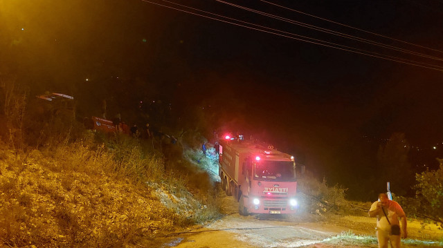 Sakarya'da orman yangını