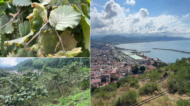 Giresun