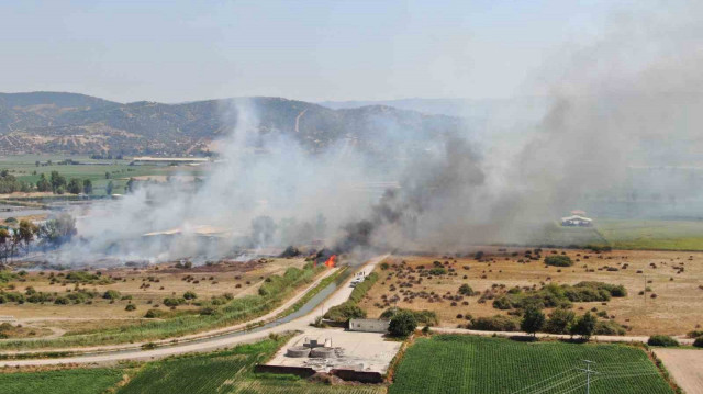 AYDIN'IN EFELER İLÇESİNDEKİ BİR ARAZİDE ÇIKAN VE RÜZGARLA GENİŞ ALANA YAYILARAK BİR HAYVAN ÇİFTLİĞİNİ TEHDİT EDEN YANGIN, EKİPLERİN YOĞUN ÇABASI SONUCUNDA KONTROL ALTINA ALINDI.