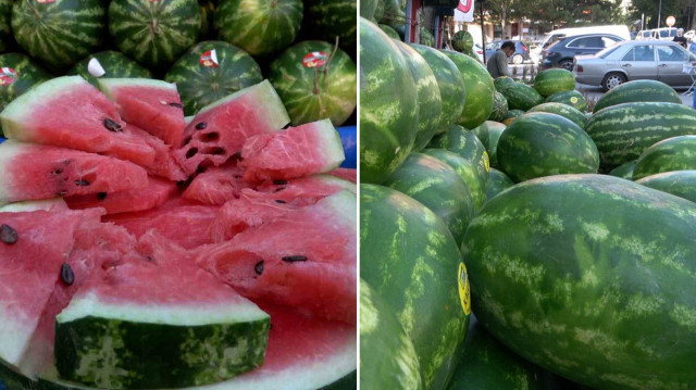 Uzmanlar, gram pozitif, tifo ve salmonella gibi bakterilere karşı uyarıda bulundu.